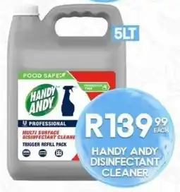 Take 'n Pay Handy andy disinfectant cleaner offer