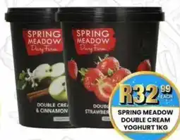 Take 'n Pay Spring meadow double cream yoghurt offer