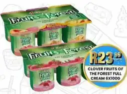 Take 'n Pay Clover fruits of the forest full cream offer