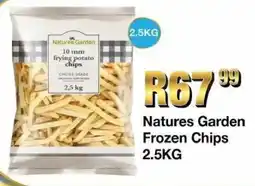 Take 'n Pay Natures Garden Frozen Chips offer