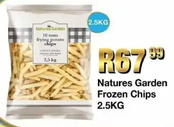 Take 'n Pay Natures Garden Frozen Chips offer