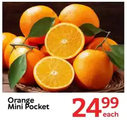 Oxford Freshmarket Orange Mini Pocket offer