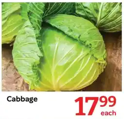 Oxford Freshmarket Cabbage offer
