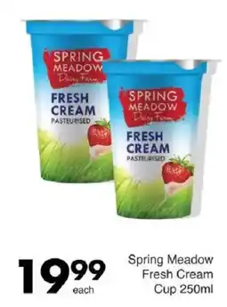 Save Spring Meadow Fresh Cream Cup offer