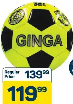 Pick n Pay SNT Neon Ginga Soccer Ball Assorted offer