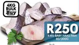 OBC Meat & Chicken Baby hake fish offer