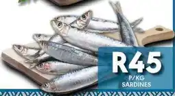 OBC Meat & Chicken Sardines offer