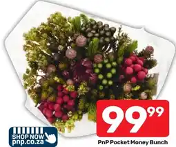 Pick n Pay Hypermarket PnP Pocket Money Bunch offer