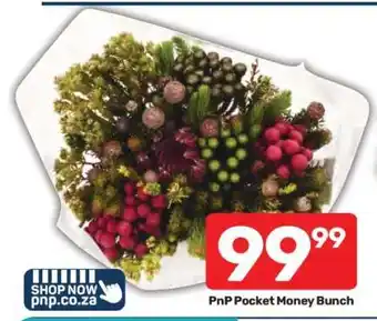 PnP Pocket Money Bunch