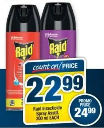 Raid Insecticide Spray 300ml