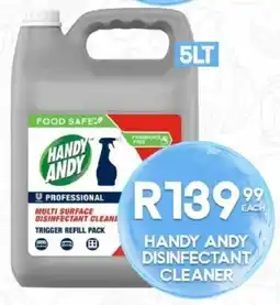 Take 'n Pay Handy andy disinfectant cleaner offer