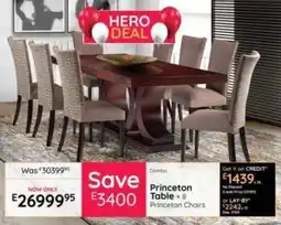 Bradlows Princeton Table + 8 Princeton Chairs offer