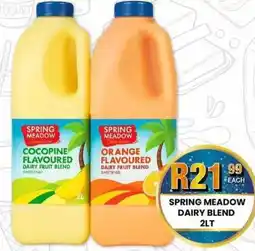 Take 'n Pay Spring meadow dairy blend offer