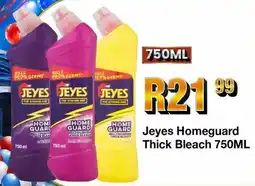 Take 'n Pay Jeyes Homeguard Thick Bleach offer