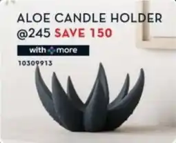 Rochester Aloe candle holder offer