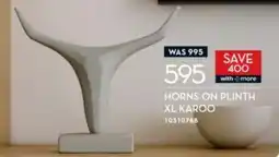 Rochester Horns on plinth xl karoo offer