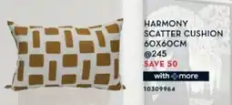 Rochester Harmony scatter cushion offer