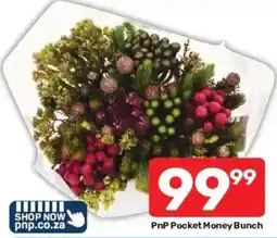 Pick n Pay PnP Pocket Money Bunch offer