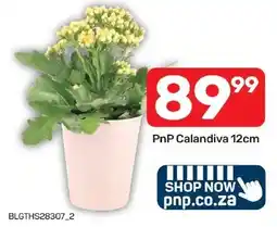 Pick n Pay Hypermarket PnP Calandiva offer