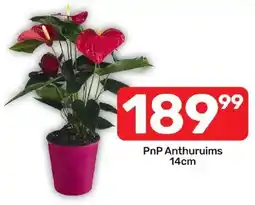 Pick n Pay Hypermarket PnP Anthuruims offer