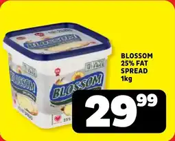 Usave Blossom 25% fat spread offer