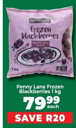 Food Lover's Market Penny Lane Frozen Blackberries 1 kg offer