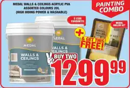 Boxer Painting Combo offer