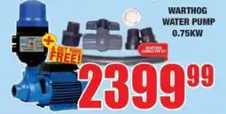 Boxer Warthog water pump 0.75kw offer