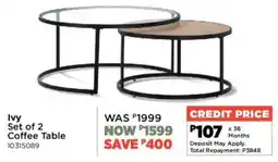 House & Home Ivy Set of 2 Coffee Table offer