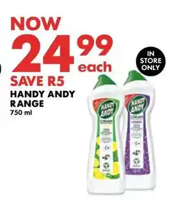 Woolworths Handy Andy Range offer
