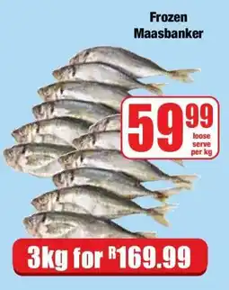 Boxer Frozen Maasbanker offer