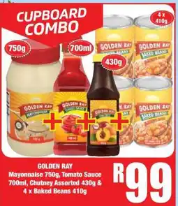 Boxer GOLDEN RAY offer