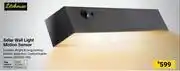 Builders Warehouse Litehouse Solar Wall Light Motion Sensor 850036199 offer
