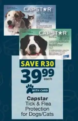 Checkers Capstar Tick & Flea Protection for Dogs/ Cats offer