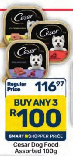Pick n Pay Cesar Dog Food Assorted offer
