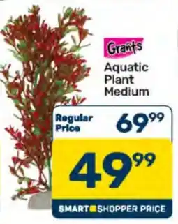 Pick n Pay Grants Aquatic Plant Medium offer