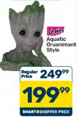 Pick n Pay Grants Aquatic Oruanimant Style offer