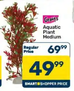 Pick n Pay Grant's Aquatic Plant Medium offer