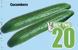 Boxer Cucumbers offer