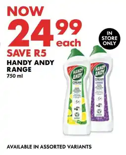 Woolworths Handy Andy Range offer