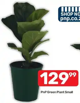 Pick n Pay Hypermarket PnP Green Plant Small offer
