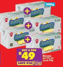 Shoprite Blossom Lite 25% Fat Spread offer