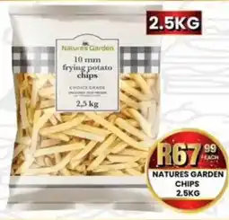 Take 'n Pay Natures garden chips offer