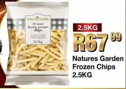 Take 'n Pay Natures Garden Frozen Chips offer