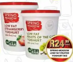 Take 'n Pay Spring meadow low fat fruited yoghurt offer