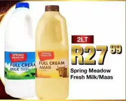 Take 'n Pay Spring Meadow Fresh Milk/ Maas offer