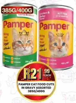 Take 'n Pay Pamper cat food cuts in gravy assorted offer