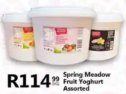 Take 'n Pay Spring Meadow Fruit Yoghurt Assorted offer