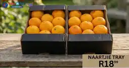Take 'n Pay Naartjie Tray offer