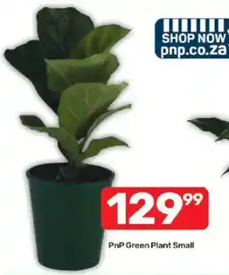 Pick n Pay PnP Green Plant Small offer